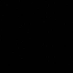 Meet your Posher, Jacqueline